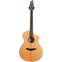 Breedlove Atlas AC25 /SM (Pre-Owned) Front View