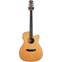 Freshman FA500GAC Electro Acoustic (Pre-Owned) Front View