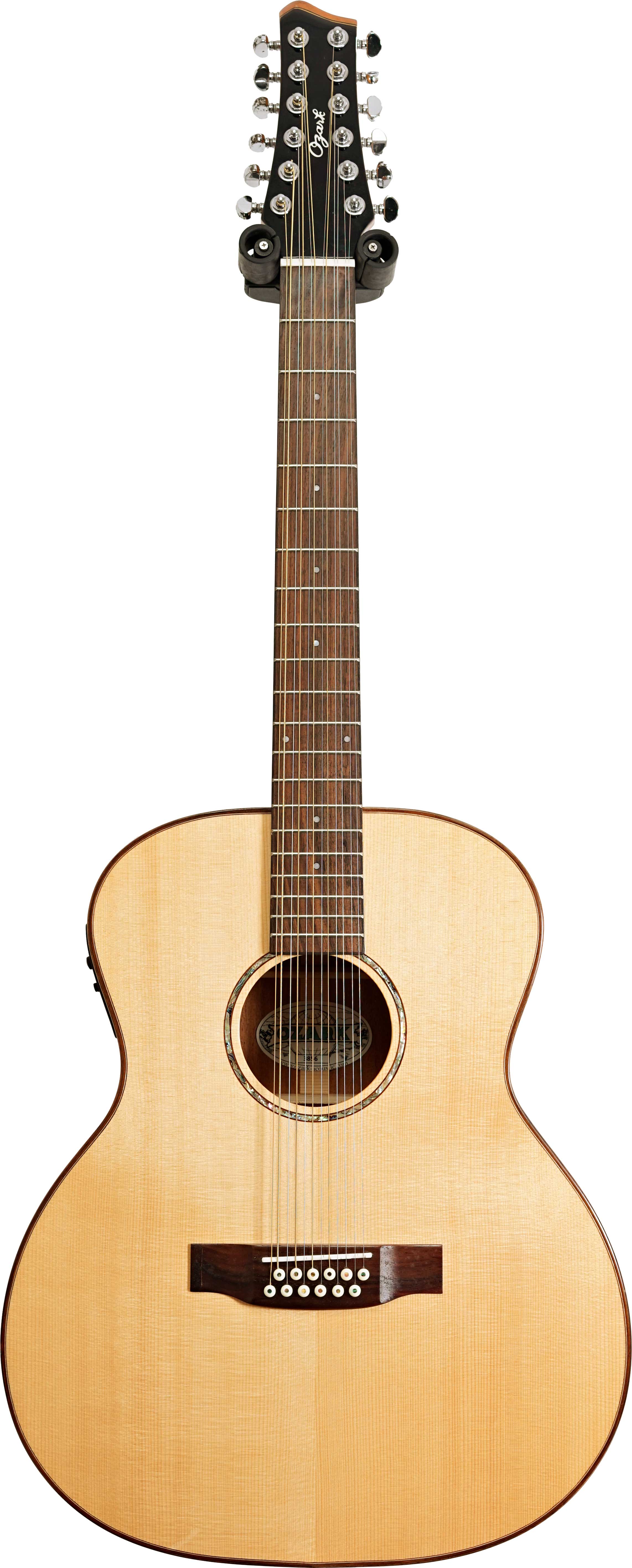 ozark 12 string guitar