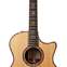 Taylor 2017 900 Series 914ce (Pre-Owned) 