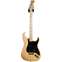 Fender 2017 American Professional Stratocaster Natural Maple Fingerboard (Pre-Owned) Front View