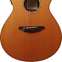 Breedlove AC250/CRe (Pre-Owned) 