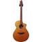 Breedlove AC250/CRe (Pre-Owned) Front View