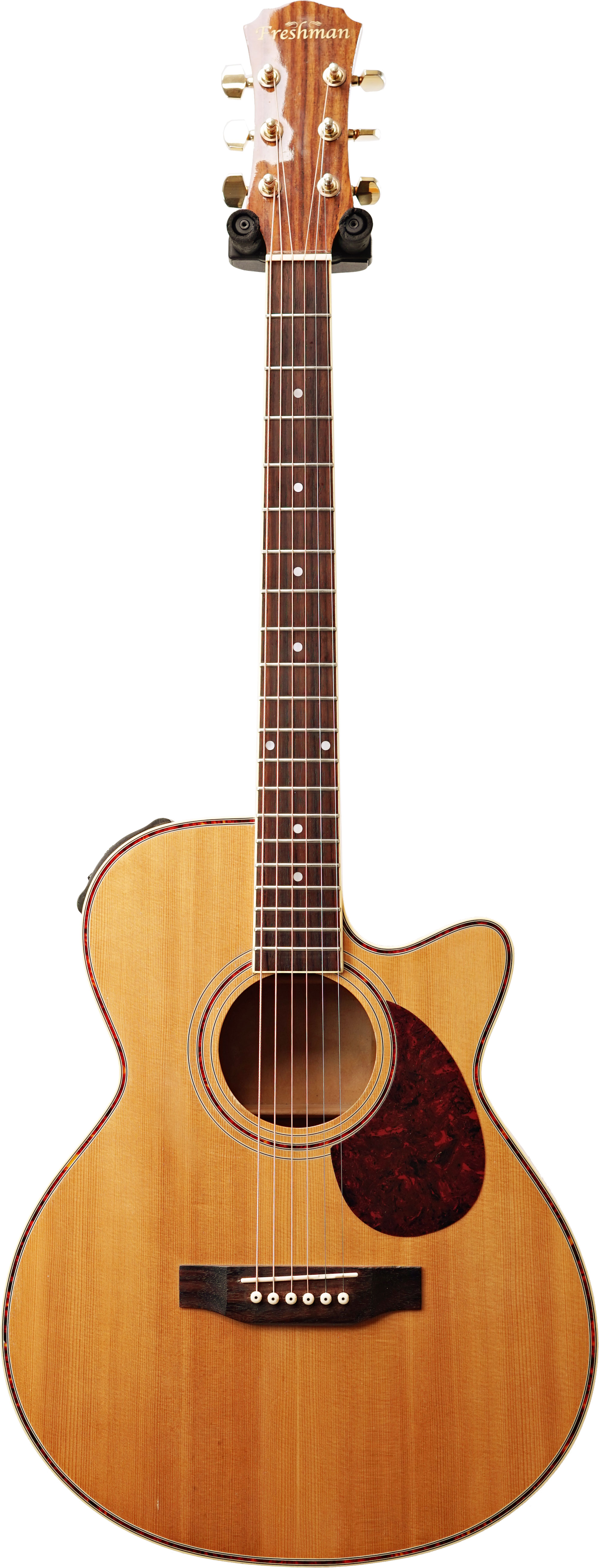 Freshman FA300 Jem (Pre-Owned) | guitarguitar