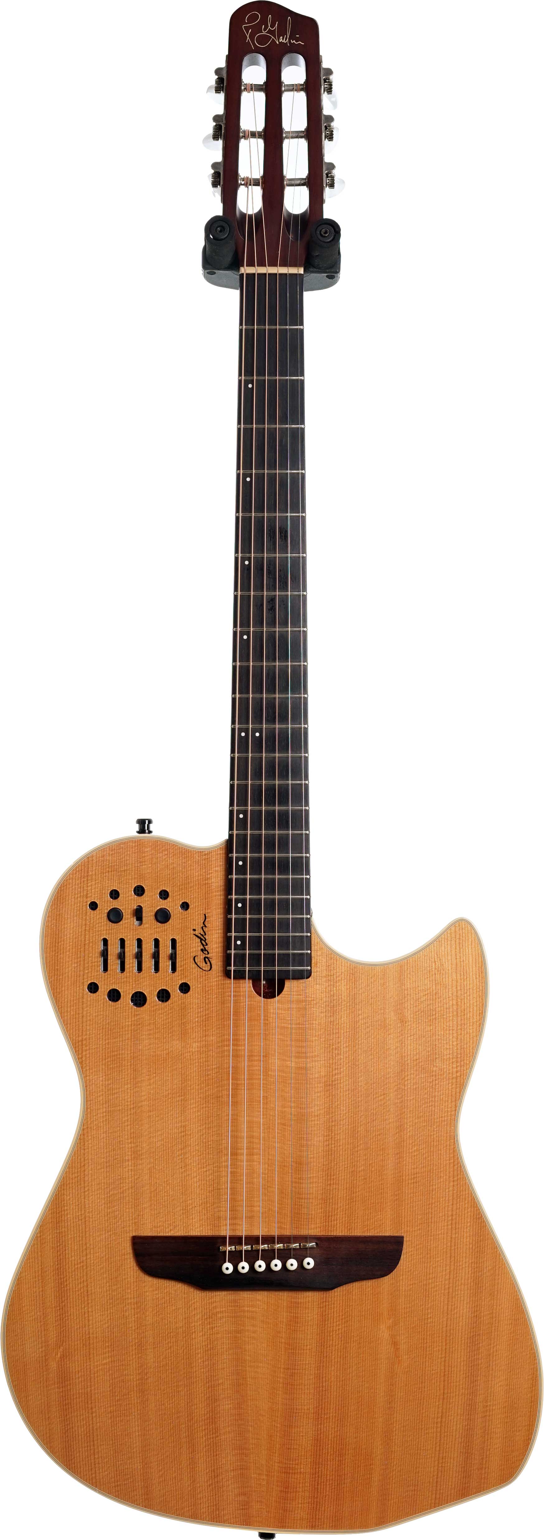 Godin multiac online steel sa