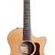 Taylor 514ce Grand Auditorium (Pre-Owned) 