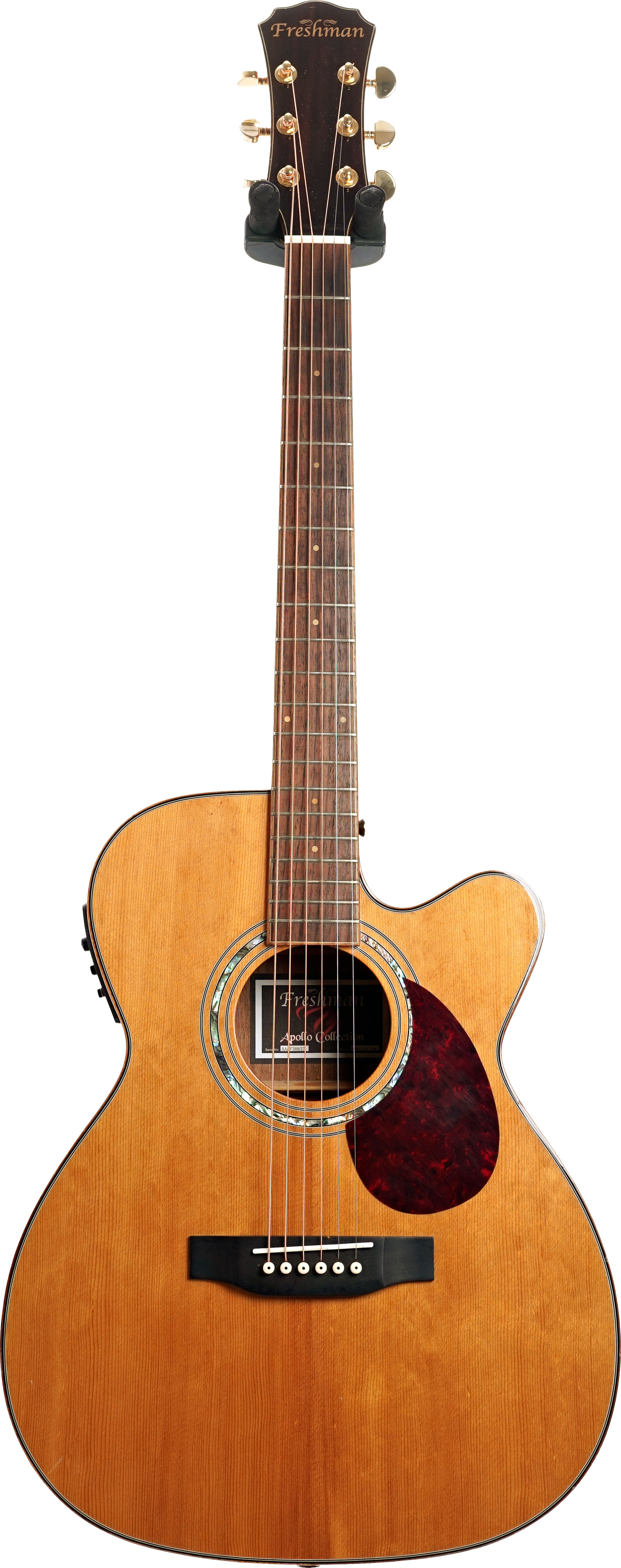 Freshman Apollo 3 OC Grand Auditorium Cutaway-Natural Fishman (Pre-Owned)