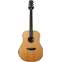 Breedlove Premier Dreadnought Mahogany (Pre-Owned) Front View