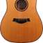 Taylor 600 Series 610ce L7 (Pre-Owned) 