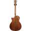 Taylor 524ce Grand Auditorium Walnut LTD (Pre-Owned) Back View