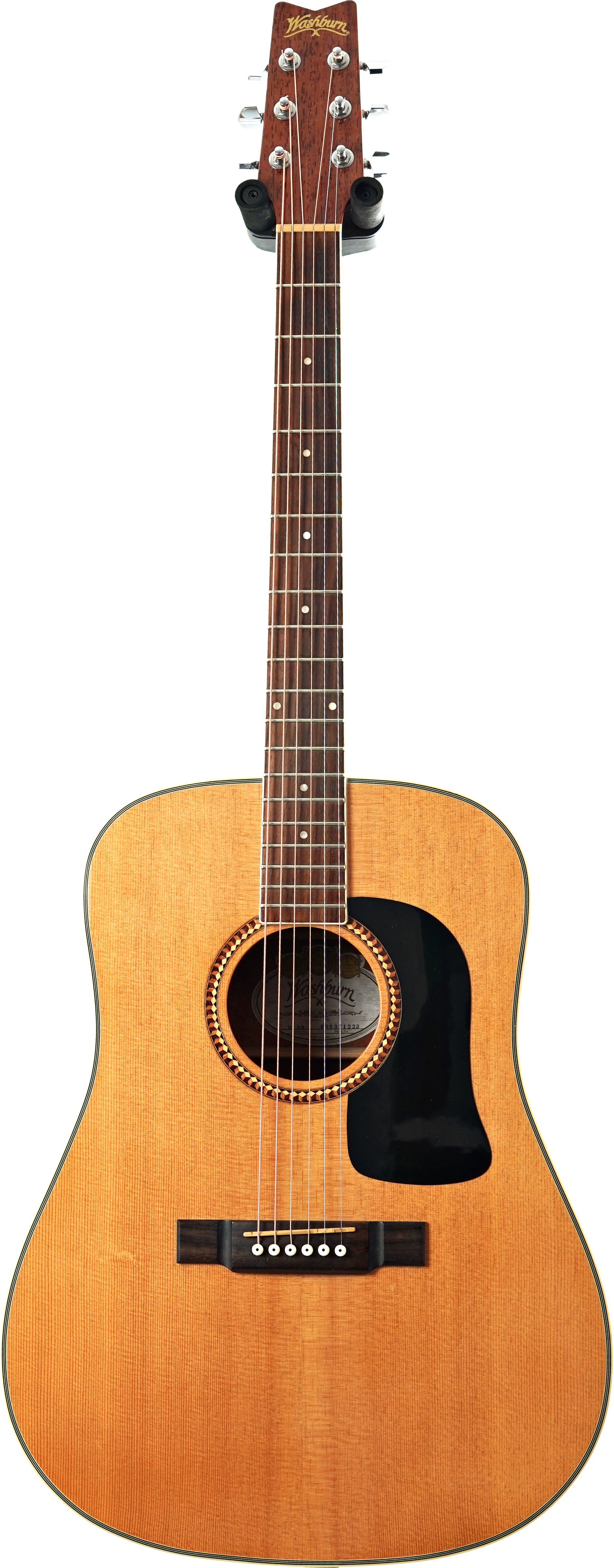 Washburn D10S (Pre-Owned)