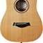 Taylor BT1 Baby (Pre-Owned) 