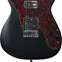 Manson MD-2 Mikey Demus Dry Black (Pre-Owned) 
