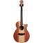 Cole Clark AN2EC-RDBL Redwood/Blackwood (Pre-Owned) Front View