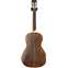 Washburn R316SWKK 125th Anniversary Model Parlour Style (Pre-Owned) Back View