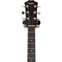 Taylor T5Z Classic (Pre-Owned) 