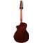 Breedlove Passport Plus C250/SBe-12 String Natural (Pre-Owned) Back View