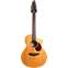 Breedlove Passport Plus C250/SBe-12 String Natural (Pre-Owned) Front View