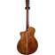 Martin 2019 Road Series SC13E (Pre-Owned) Back View