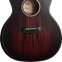Taylor Builder's Edition 324ce Grand Auditorium (Pre-Owned) 
