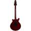 Brian May Red Special (Pre-Owned) Back View