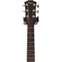 Taylor 2021 AD22e (Pre-Owned) 