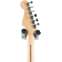 Fender 2017 Exotic Wood Limited Edition American Professional Mahogany Stratocaster Violin Burst (Pre-Owned) 