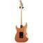 Fender 2017 Exotic Wood Limited Edition American Professional Mahogany Stratocaster Violin Burst (Pre-Owned) Back View