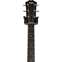 Taylor 210ce-CF DLX Copaferra (Pre-Owned) 