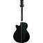 Tanglewood Evolution TSF CE Black (Pre-Owned) Back View