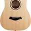 Taylor Baby Taylor BT1 (Pre-Owned) 