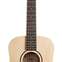 Taylor Baby Taylor BT1 (Pre-Owned) 