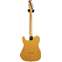 Fender 2022 American Professional II Telecaster Butterscotch Blonde (Pre-Owned) Back View