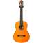 Yamaha CGX102 Classical Guitar (Pre-Owned) Front View