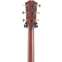 Taylor 2022 Builder's Edition 814ce Grand Auditorium (Pre-Owned) 