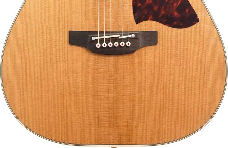 Takamine CRN-TS1 Slope Shoulder Dread (Pre-Owned) Takamine CRN-TS1 Slope Shoulder Dread (Pre-Owned)