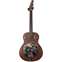 Fender Brown Derby Resonator (Pre-Owned) Front View
