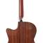 Furch Yellow Gc-CR Master's Choice Western Red Cedar / Indian Rosewood (Pre-Owned) 