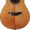 Ovation 1997 Collector's Edition Parlor (Pre-Owned) 