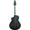 Breedlove Eco Pursuit Exotic S CE Concert Blue Eyes (Pre-Owned) Back View