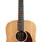 Martin DX1AE (Pre-Owned) 