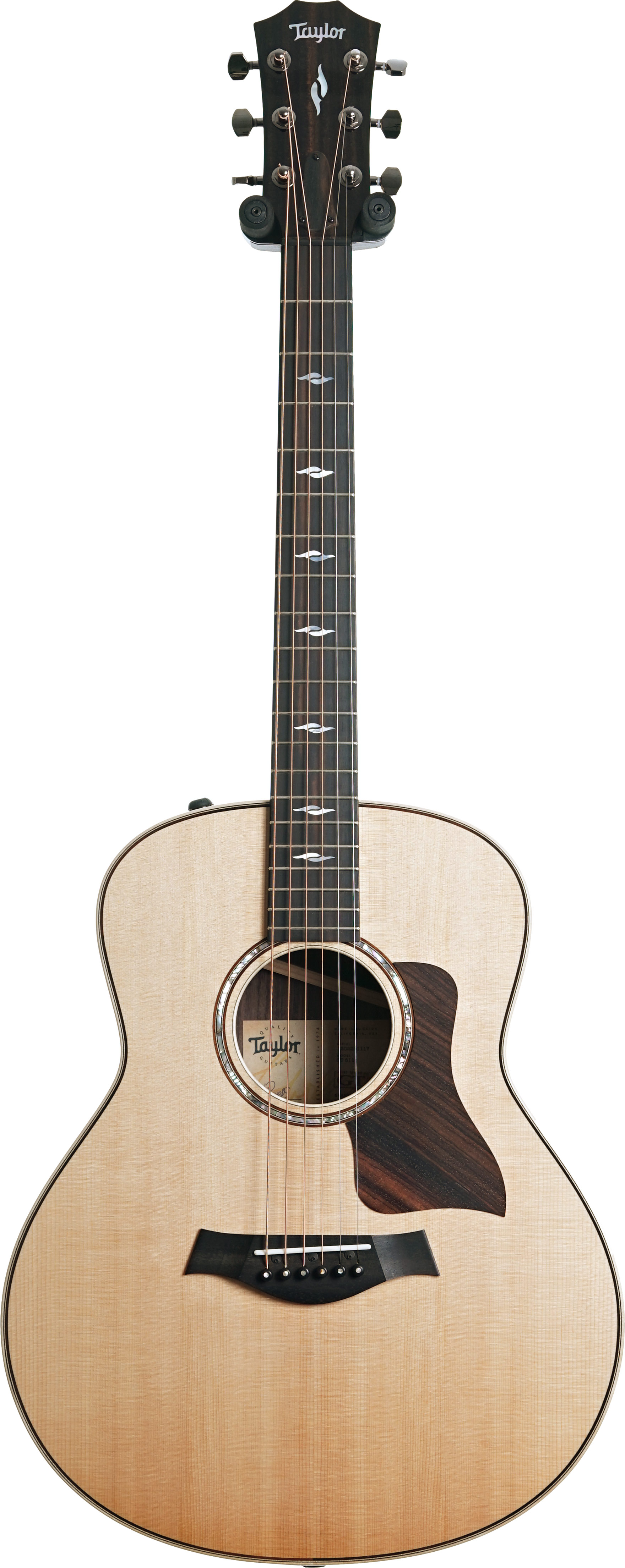 Taylor 2021 811e Grand Theatre (Pre-Owned)