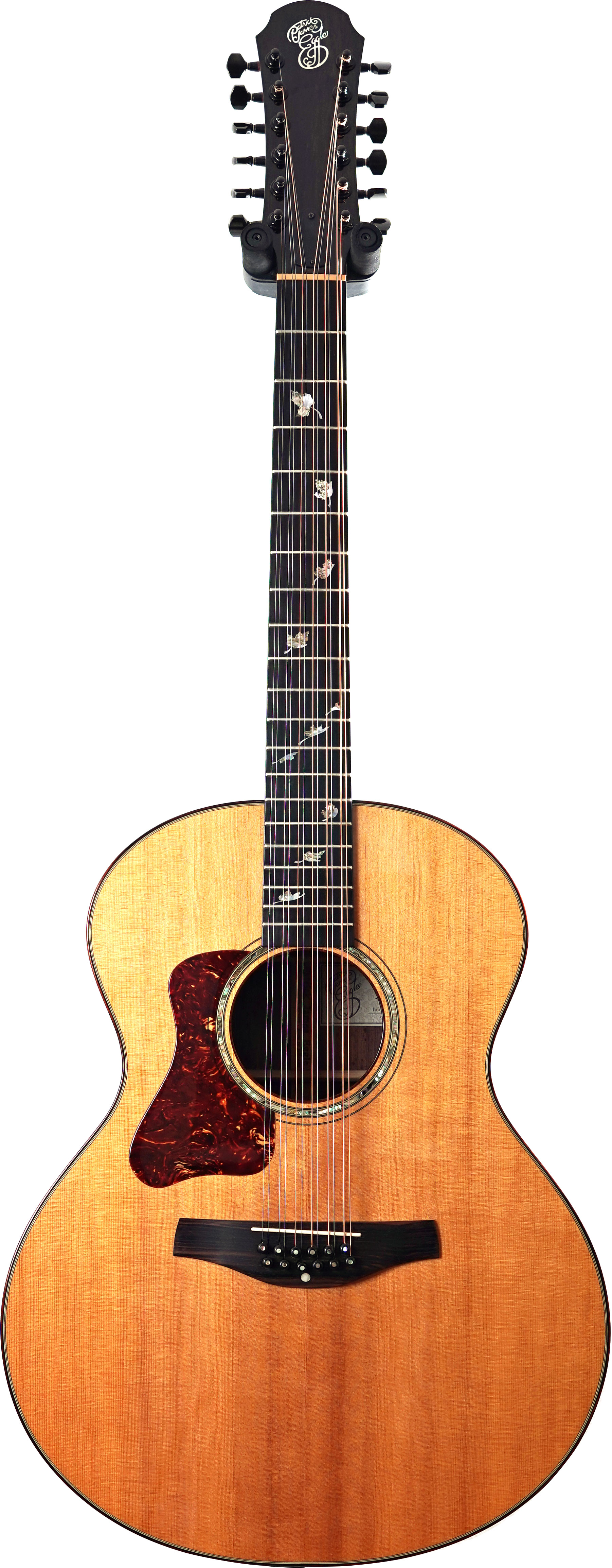 Patrick James Eggle Saluda 12 String Left Handed (Pre-Owned)