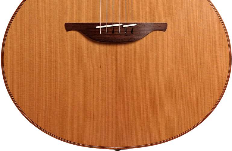 Lowden F25 IR/C Indian Rosewood/Cedar (Pre-Owned) Lowden F25 IR/C Indian Rosewood/Cedar (Pre-Owned)