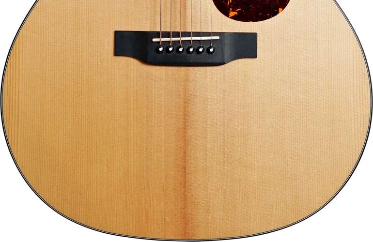Sigma Crossroad SGPC-10E Sitka Spruce / Pau Ferro (Pre-Owned) Sigma Crossroad SGPC-10E Sitka Spruce / Pau Ferro (Pre-Owned)