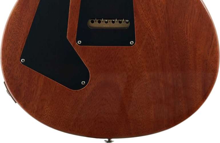 PRS 2022 Custom 24 Yellow Tiger Pattern Thin (Pre-Owned) PRS 2022 Custom 24 Yellow Tiger Pattern Thin (Pre-Owned)