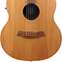 Cole Clark Little Lady LL1E Bunya Top Queensland Maple Back & Sides (Pre-Owned)