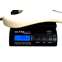 Fender 2010 Standard Stratocaster Olympic White Maple Fingerboard (Pre-Owned) Front View