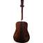 Martin HD-35 CFM IV 60TH Anniversary 60 Pieces Worldwide (Pre-Owned) Back View