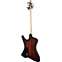 Dingwall D-Roc 5 String Matte Vintageburst Pau Ferro (Pre-Owned) Back View